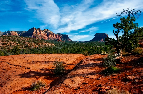 Landscape nature forest rock Photo