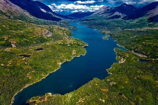 Landscape water nature forest Photo