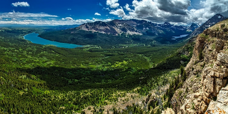 Foto Paesaggio natura foresta selvaggia
