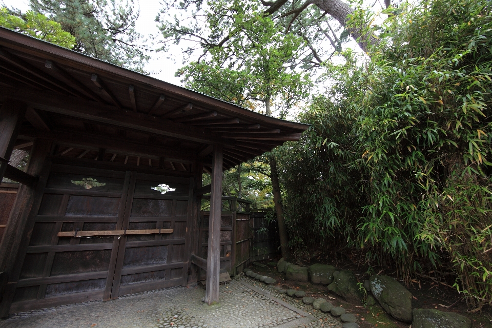 Shed hut high jungle