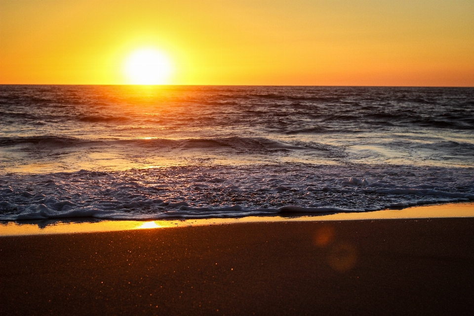 Beach sea coast nature