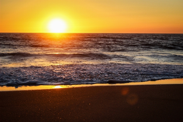 Beach sea coast nature Photo