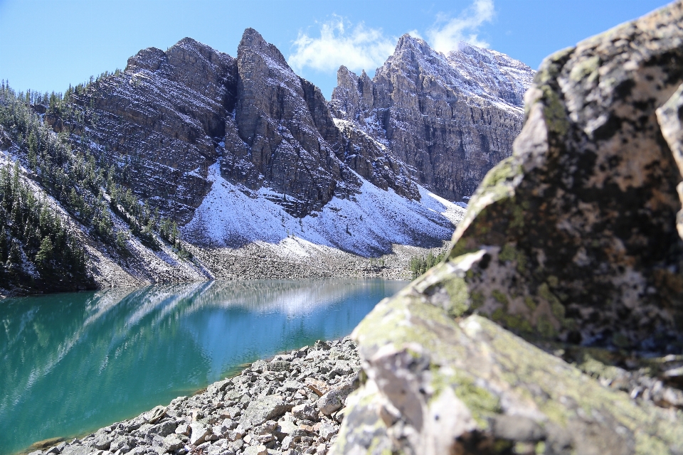 Paesaggio natura selvaggia
 a piedi