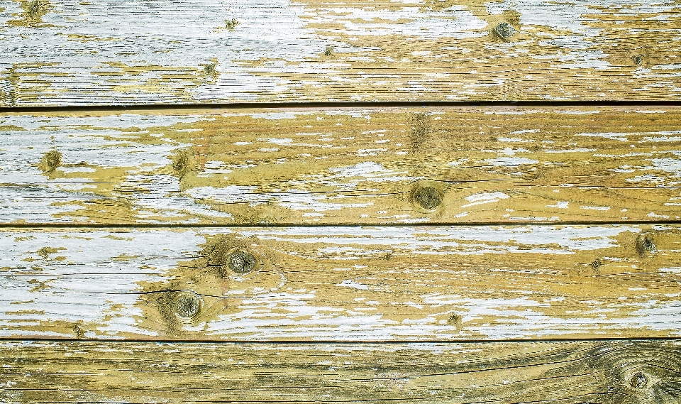 Tree branch wood texture