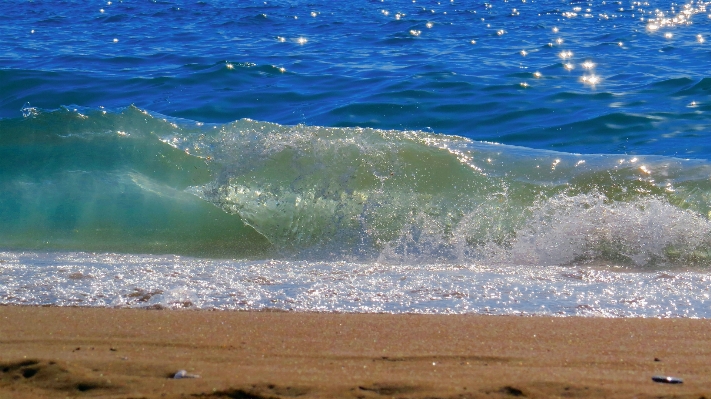 Beach sea coast water Photo