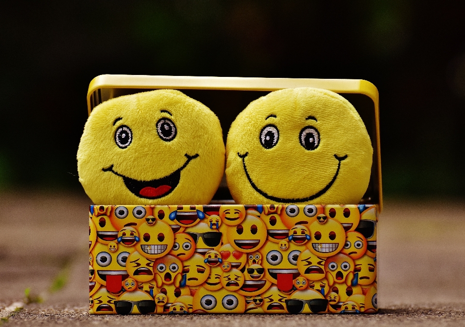 Color box yellow toy