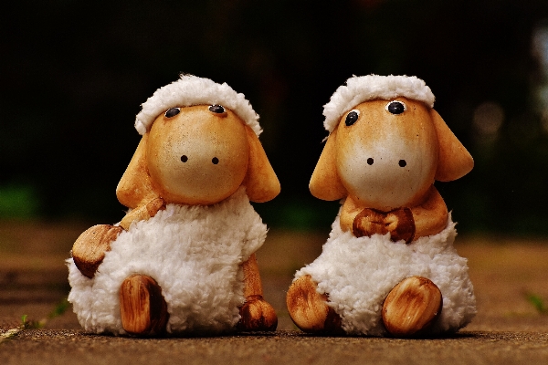 Animal cute sheep ceramic Photo