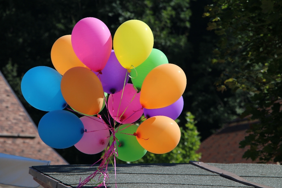 Anlage blume ballon feier