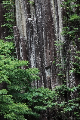 Landscape tree water nature Photo