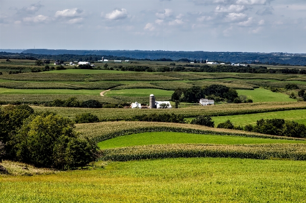 Landscape nature grass horizon Photo