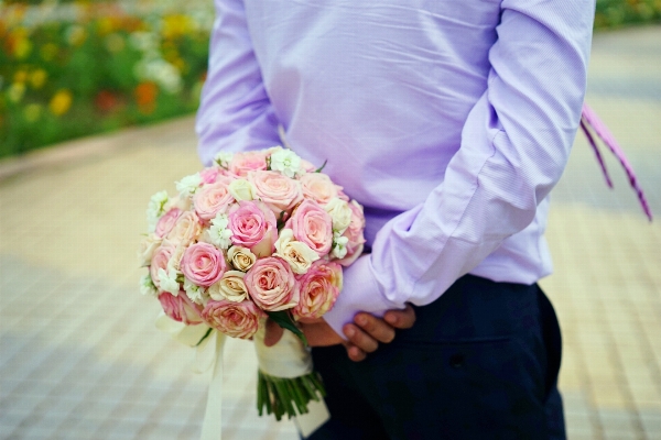 Plant flower petal pink Photo