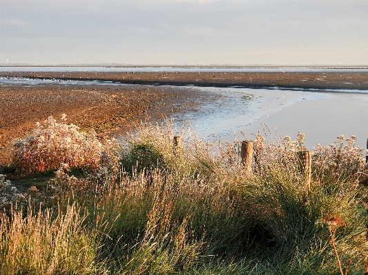 Landscape sea coast water Photo