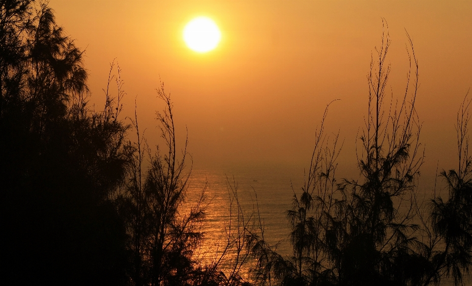 Beach landscape sea water