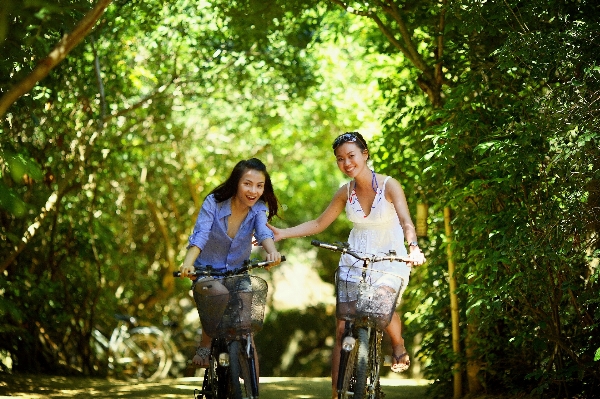 Nature forest path outdoor Photo