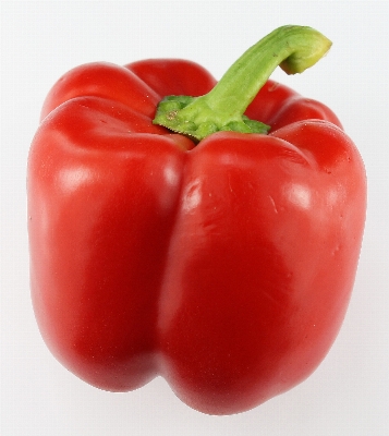 Plant fruit food pepper Photo