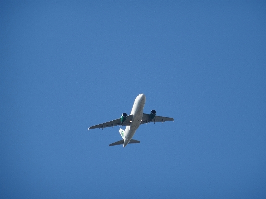 Wing sky technology airplane Photo