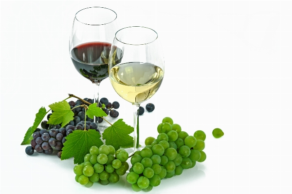 Liquid plant grape wine Photo