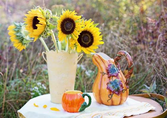 Plant fall flower bouquet Photo