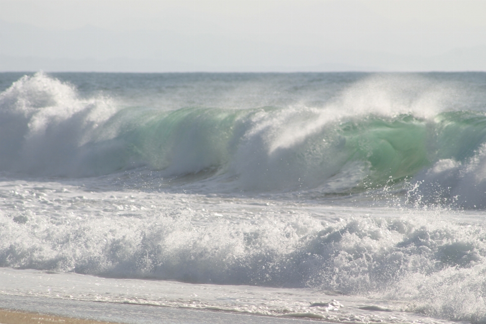 Beach sea coast water