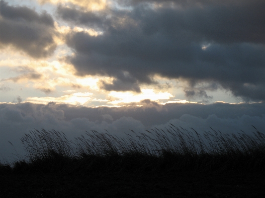 Foto Paisagem natureza grama horizonte