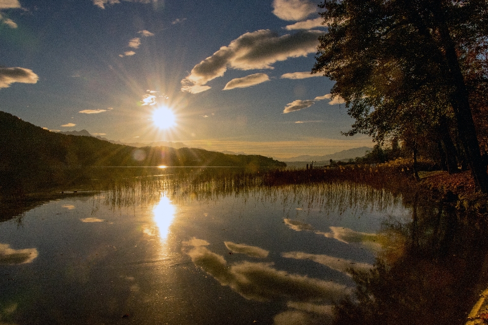 Paesaggio albero acqua natura