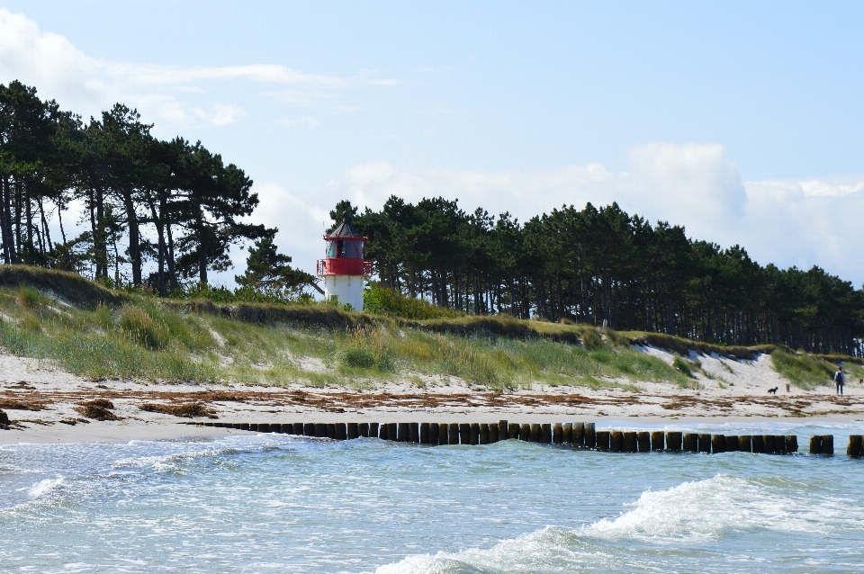 Beach sea coast ocean