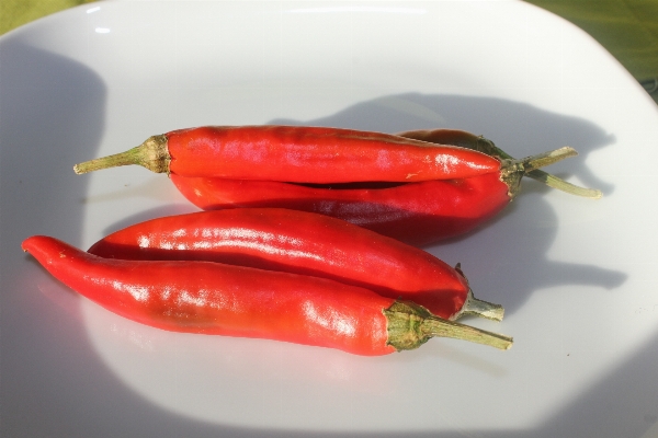 Plant dish food red Photo