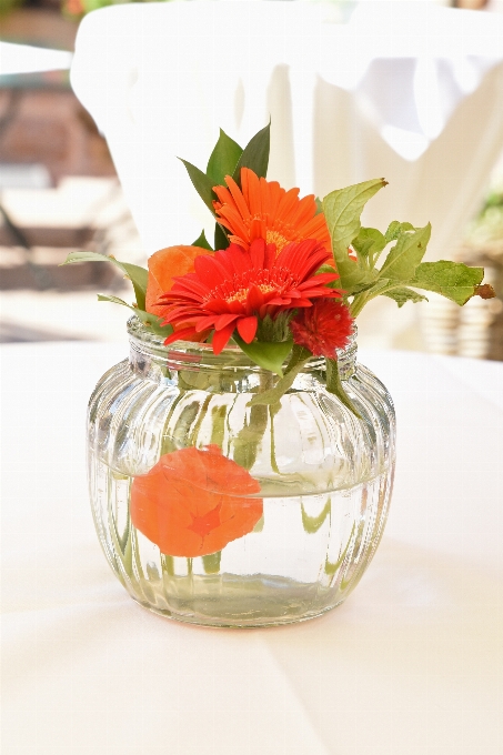 Anlage blume glas vase