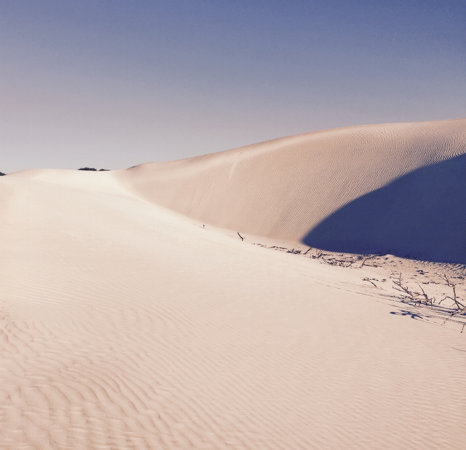 Landscape nature sand desert