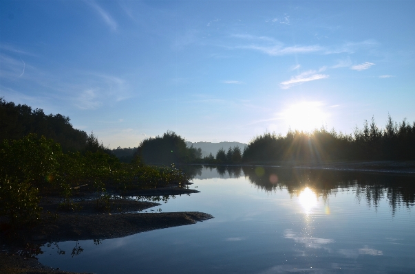 Landscape tree water nature Photo