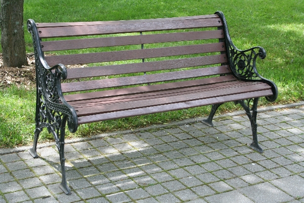 Table nature wood bench Photo