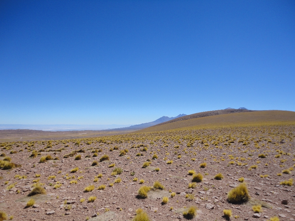 Landschaft meer natur horizont