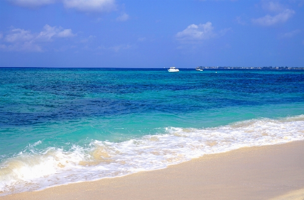 Beach sea coast nature Photo