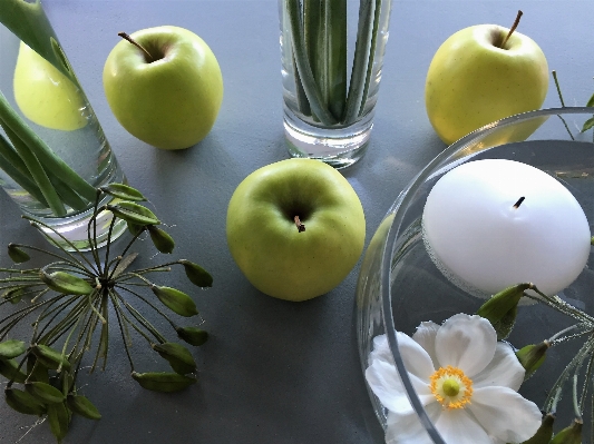 Apple plant fruit flower Photo