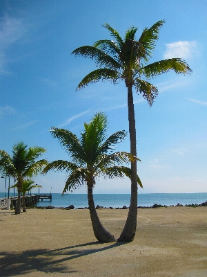 Beach landscape sea coast Photo