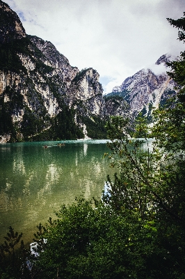 Landscape tree water nature Photo