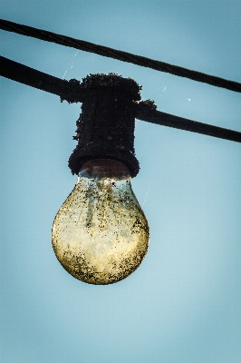 Outdoor branch light old Photo