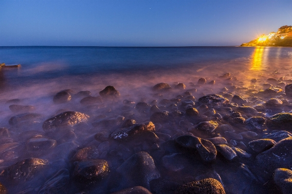 Landscape sea coast tree Photo