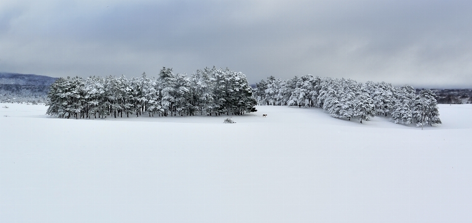 Landschaft natur weg berg