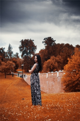 Tree winter girl sunset Photo