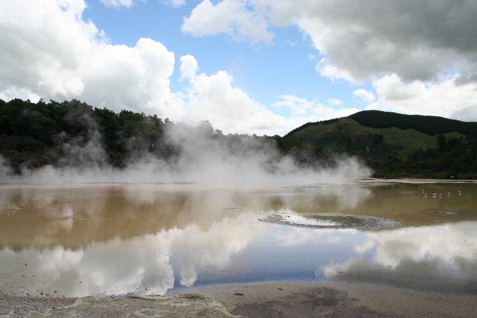 Landschaft wasser natur wald