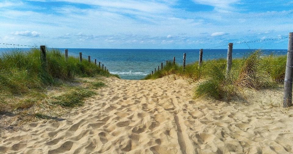 Plaża morze wybrzeże piasek