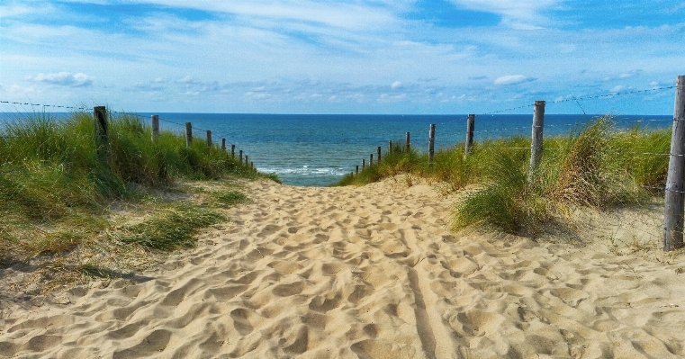 Beach sea coast sand Photo