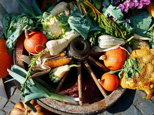 Fruit dish meal food Photo