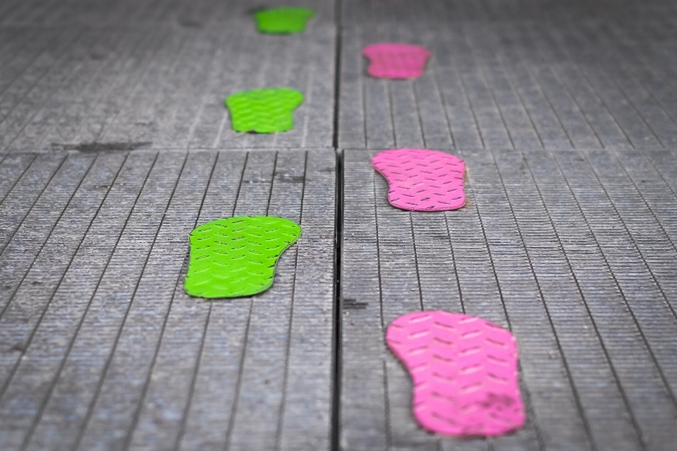 Path track leaf flower