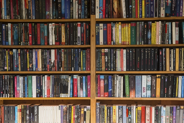 Book read shelf furniture Photo