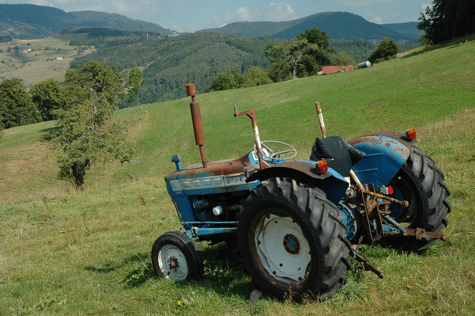 Landschaft natur gras berg