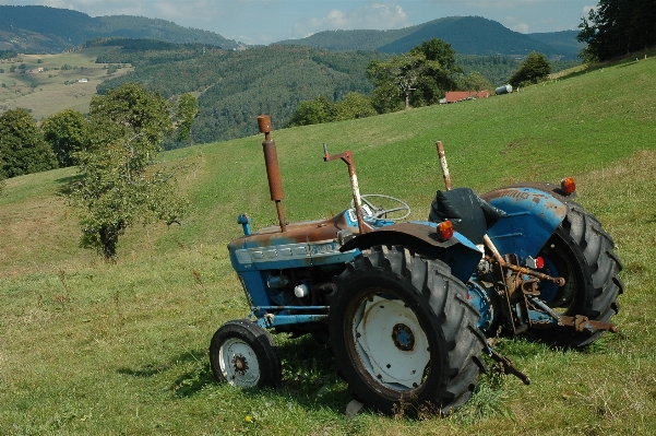 Foto Paisagem natureza grama montanha