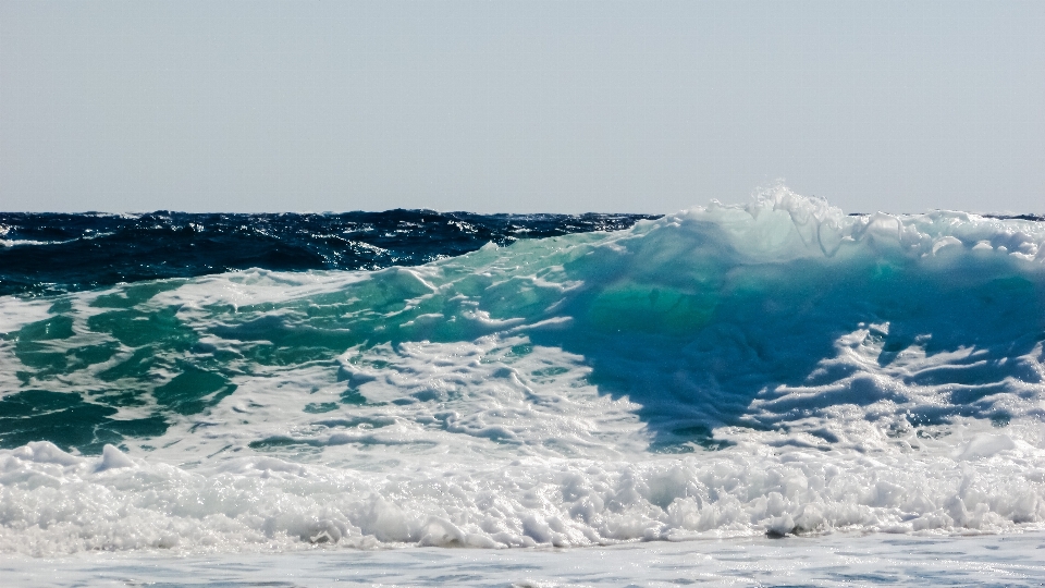 Beach sea coast nature