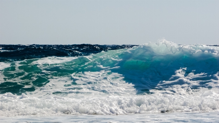 Beach sea coast nature Photo